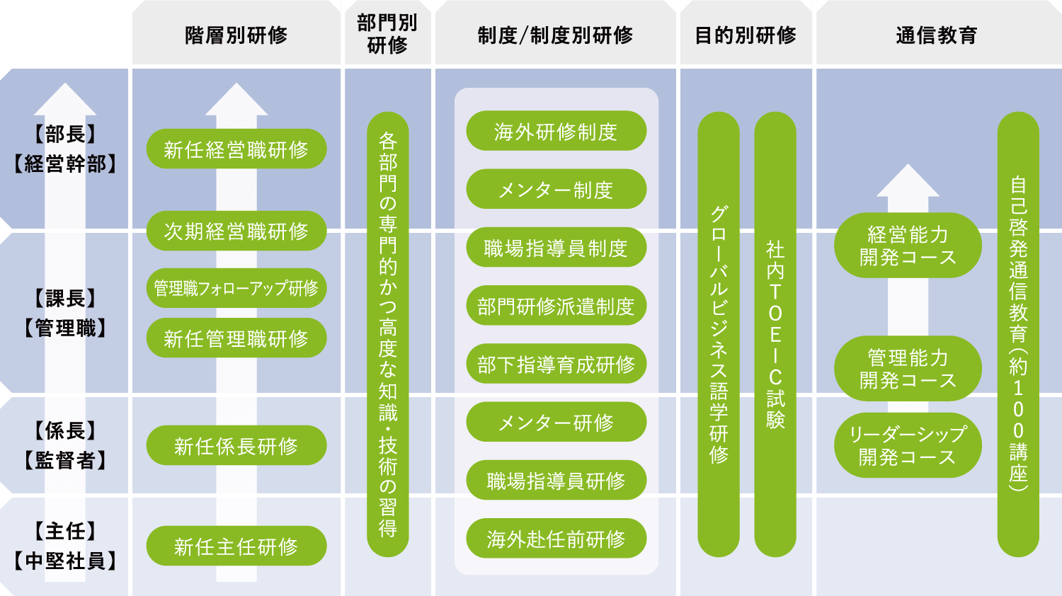 階層別研修の図